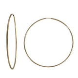 large gold filled hoop