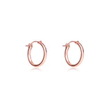 European hoop earrings