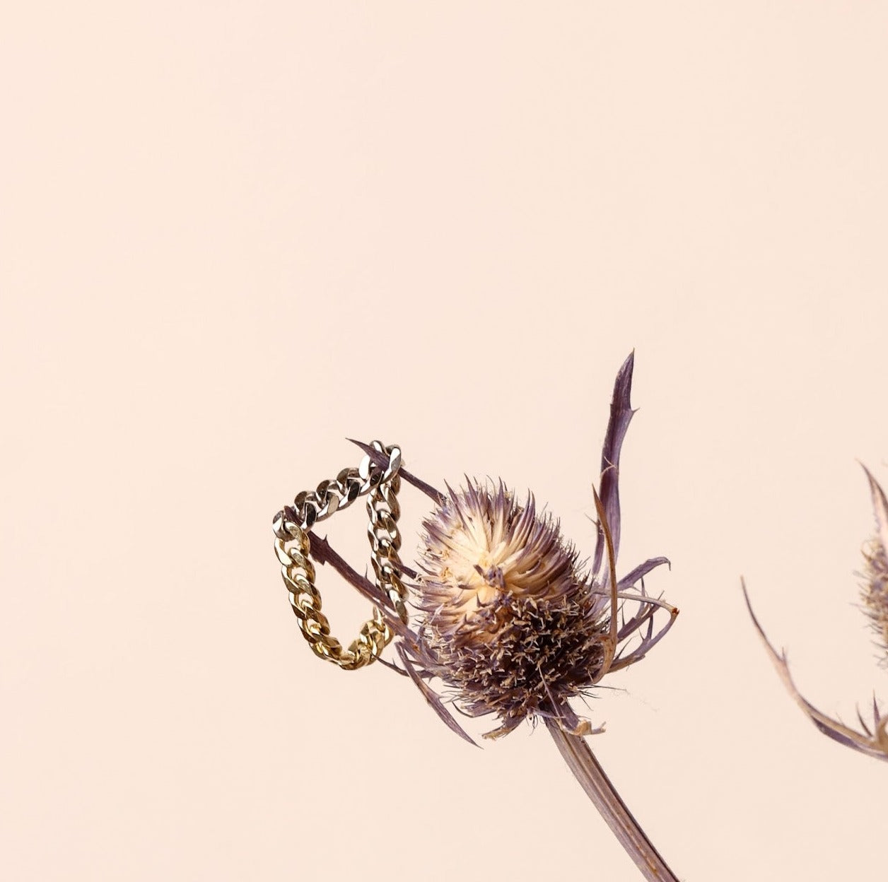 loose gold chain ring hanging from a dried flower