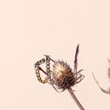 loose gold chain ring hanging from a dried flower