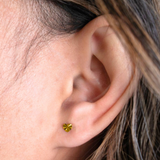 Gift Set - 10K Solid Yellow Gold Stud Earrings & Handmade Ceramic Jewelry Dish